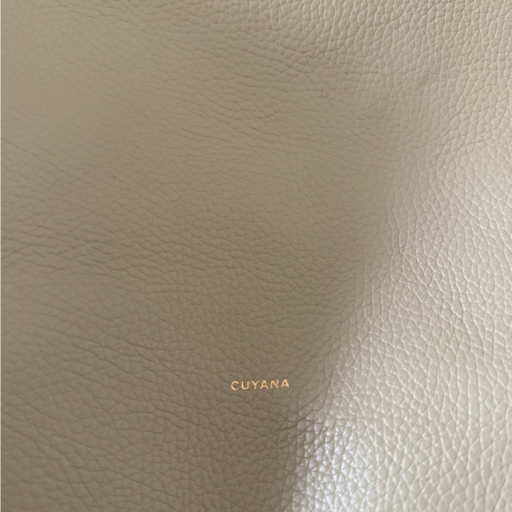 Cuyana Tall Easy Tote Sage - Picture 5 of 5